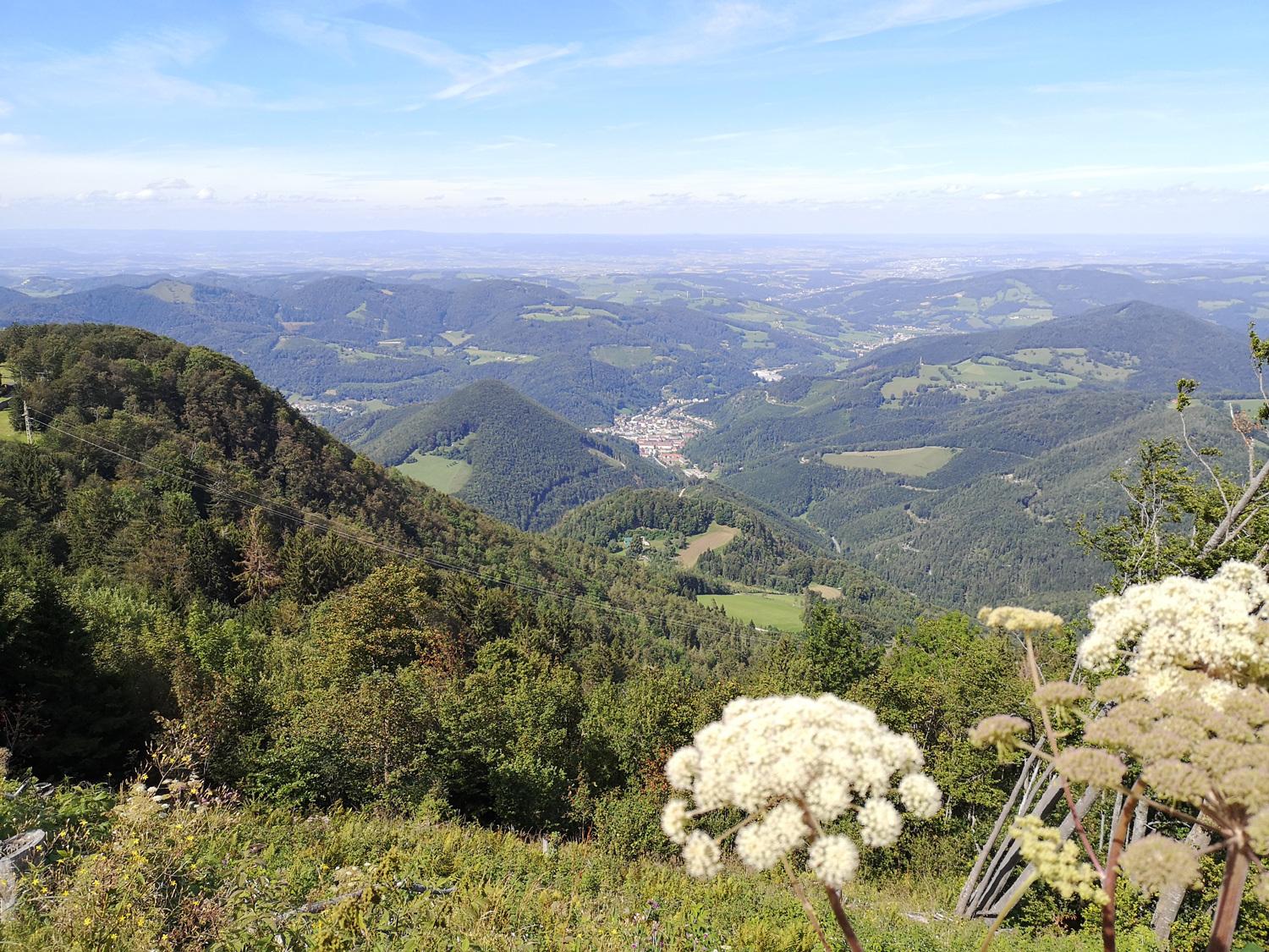 Waldbaden in Lilienfeld