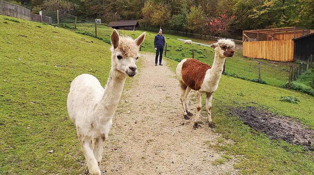 Auf den Spuren der Natur in Waidhofen