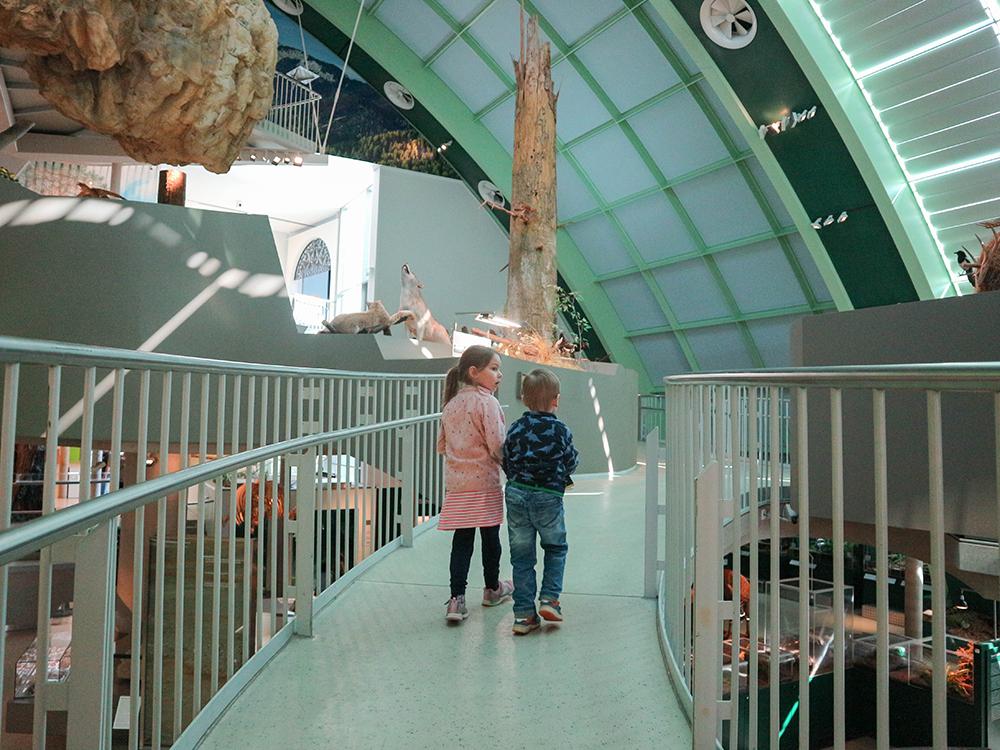Museumstour und Wasserspaß in St.Pölten