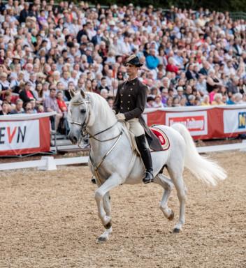 Lipizzanergala am Heldenberg