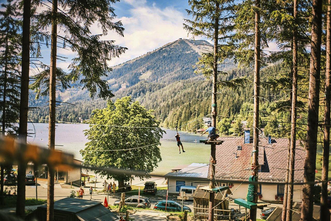 NEU: RUDYSHCOOL -  Waldseilgarten am Erlaufsee
