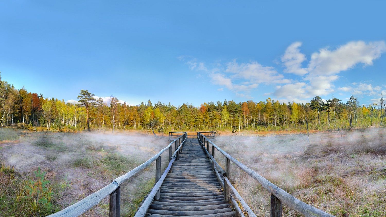 Heidenreichsteiner Moor