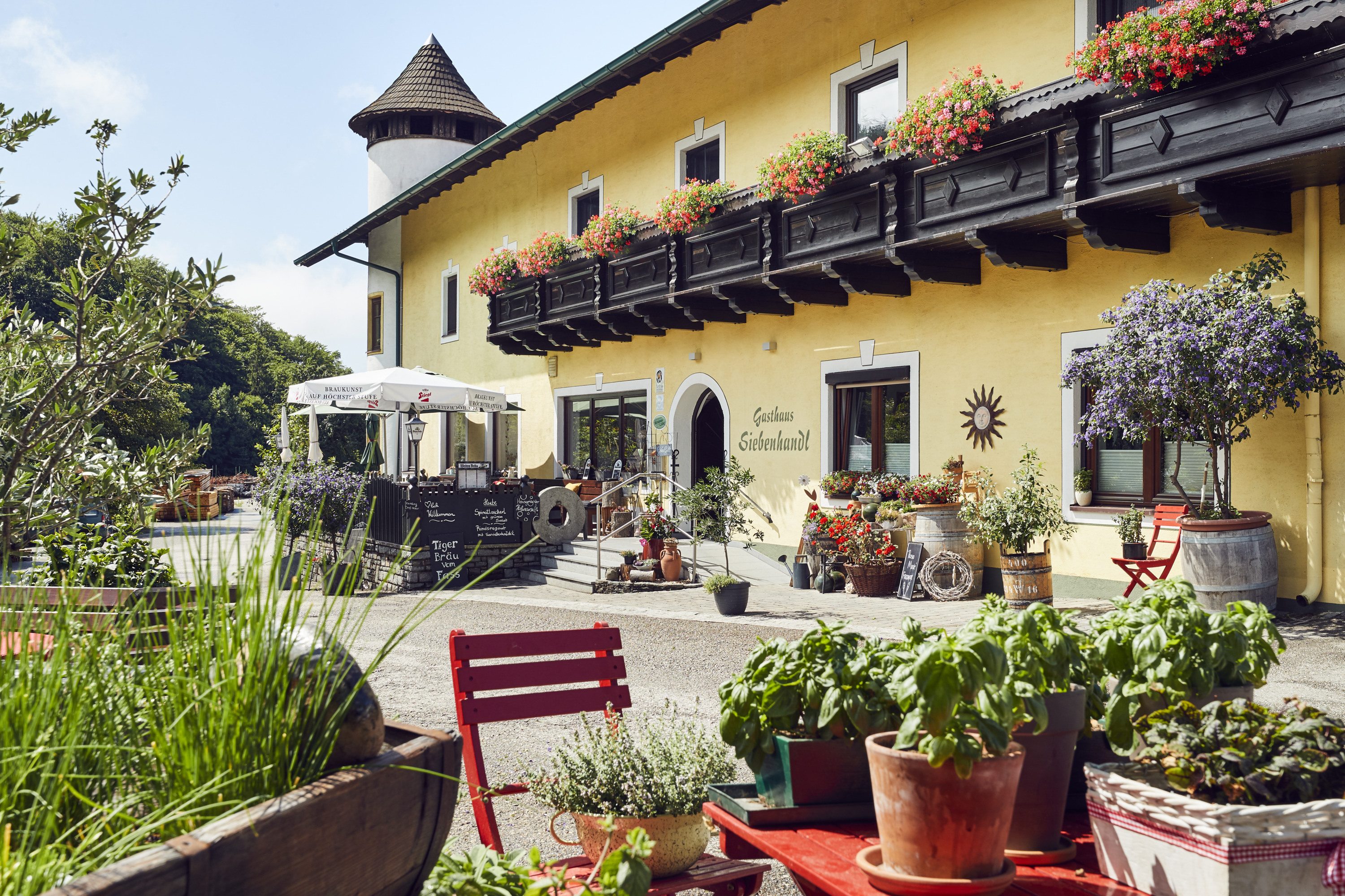 Wirtshaus mit Christbaumkultur