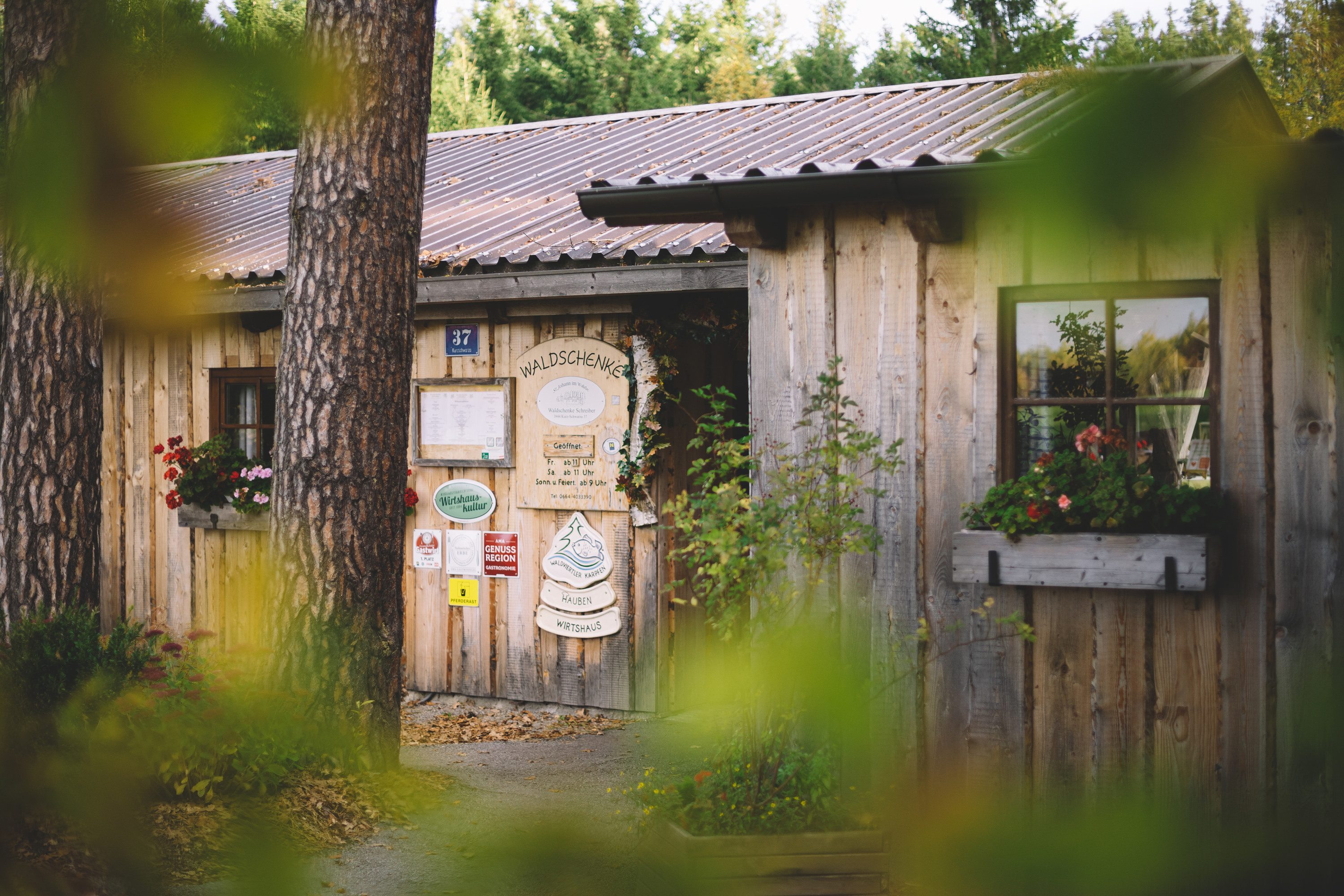 Wunderschönes Holzhaus am Waldrand