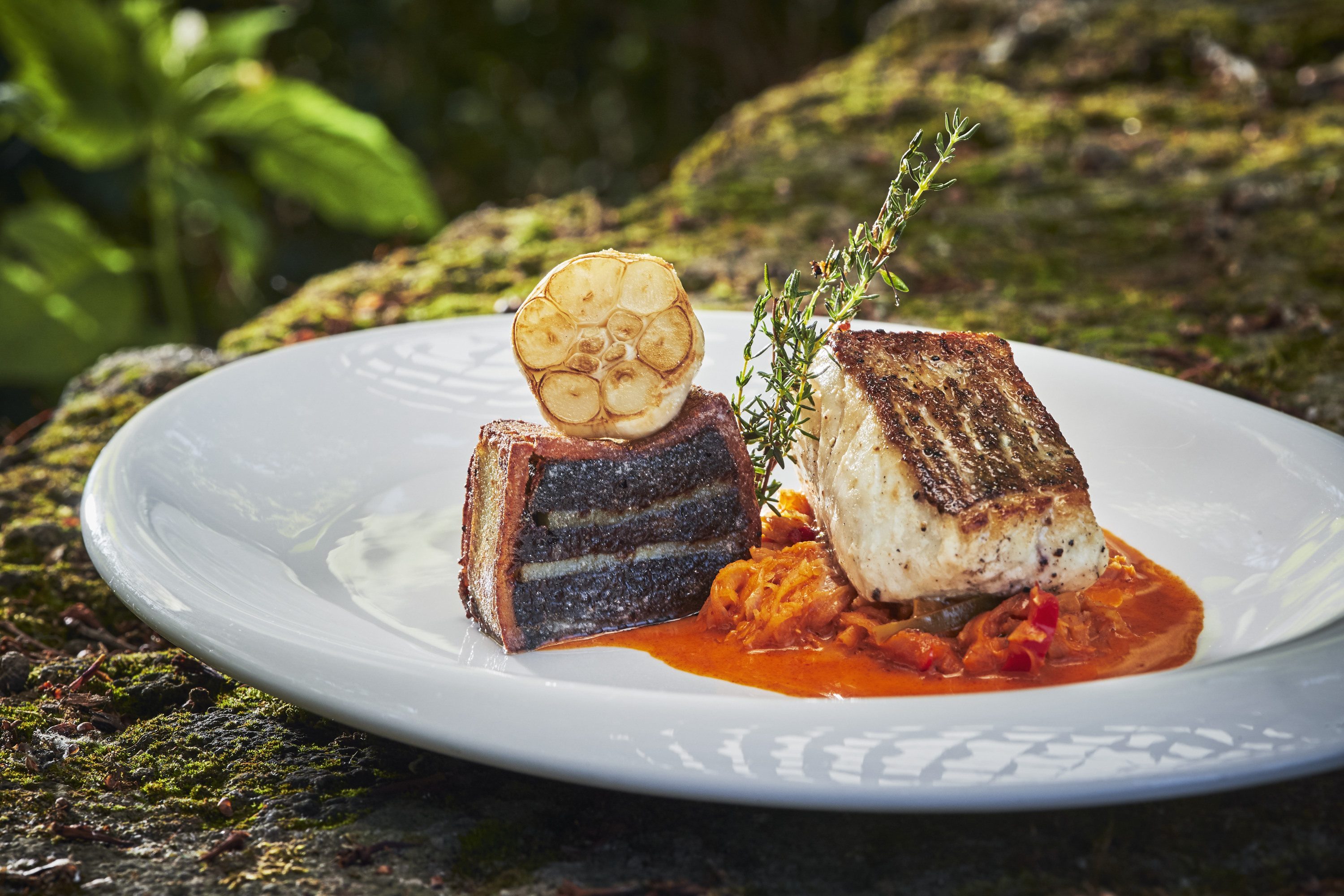 Zanderfilet auf pikantem Kraut und Bluzenterrine
