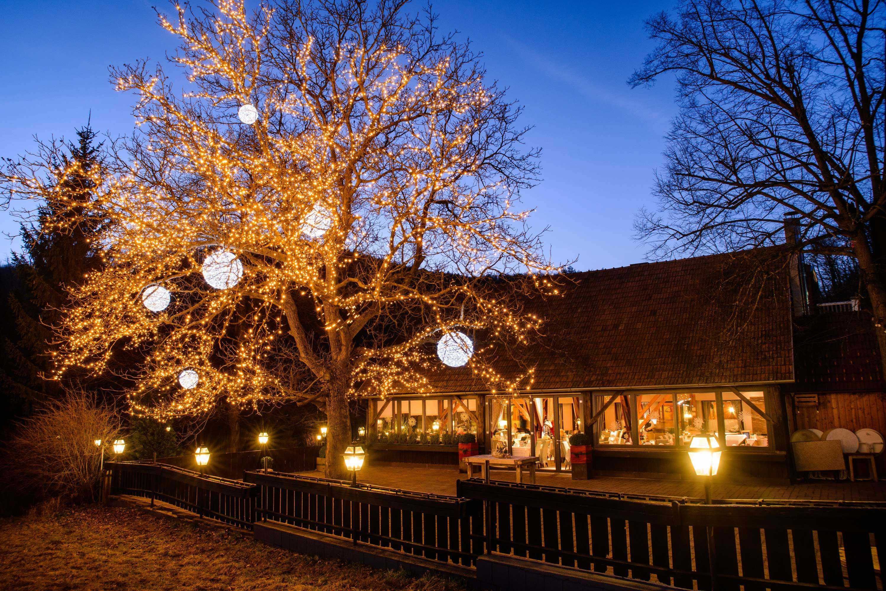 Wirsthaus mit Gastgarten und Teich
