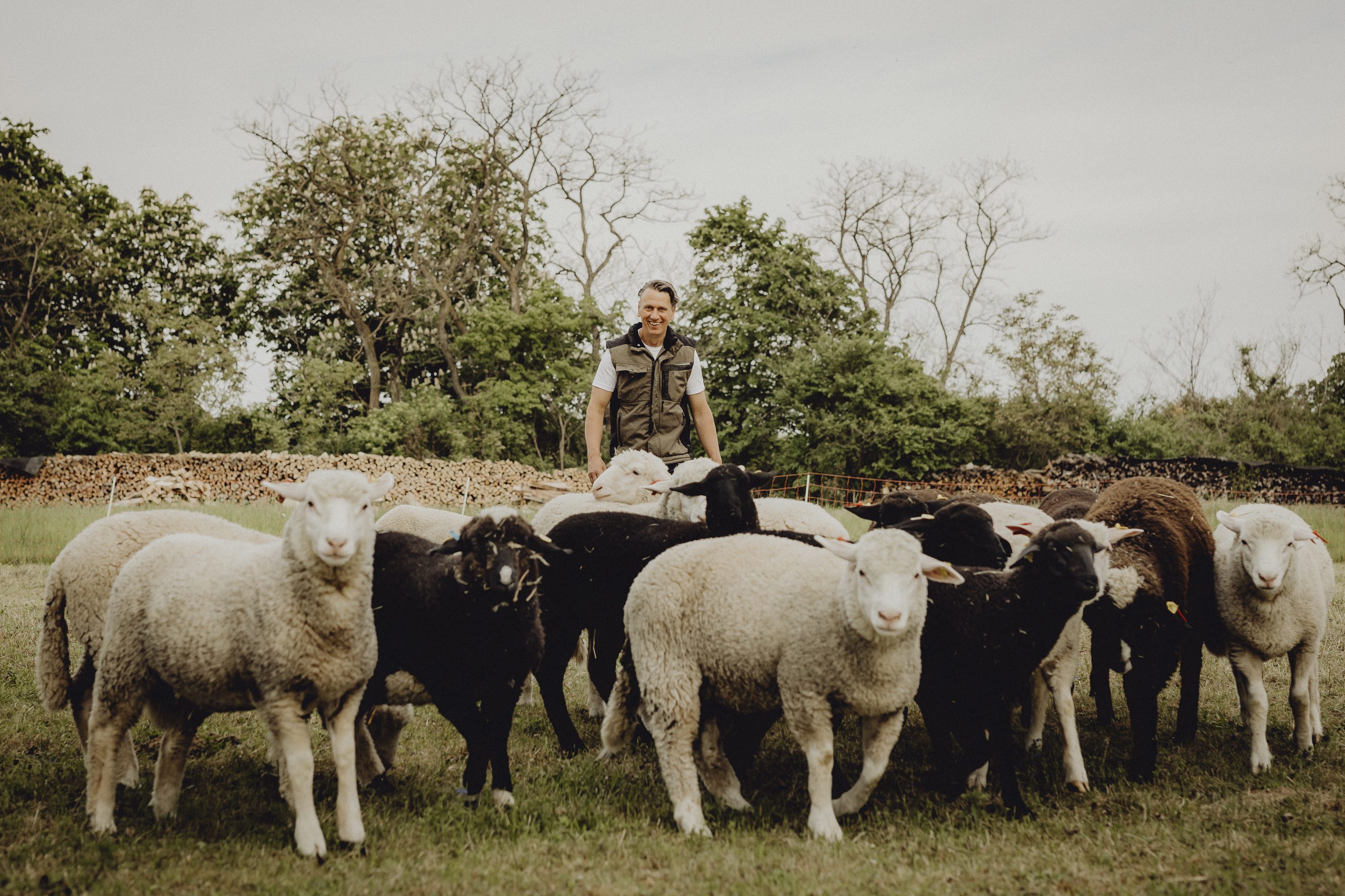 Wirtshaus mit Landwirtschaft von Gemüse, Rind und Schaf