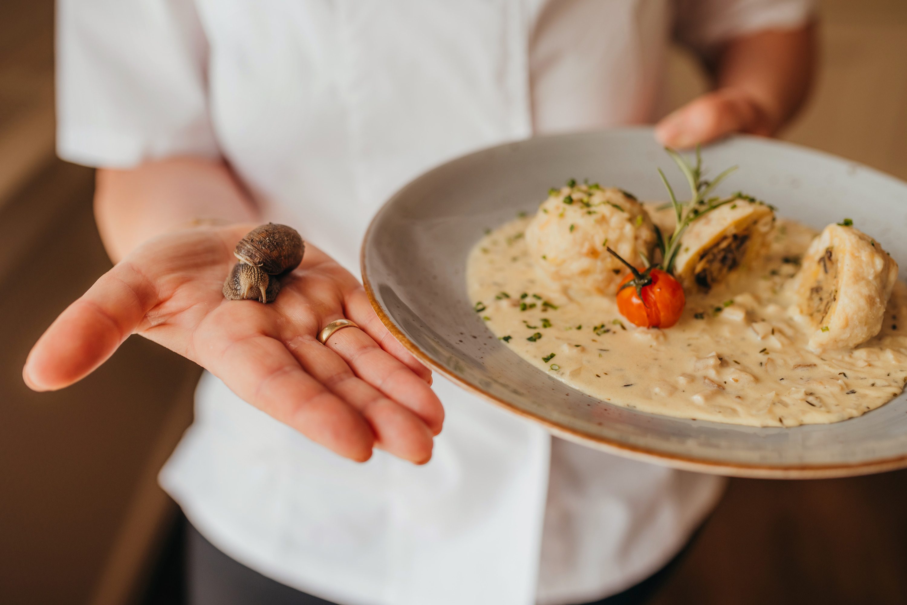 Weinbergschnecke – Spezialität des Hauses