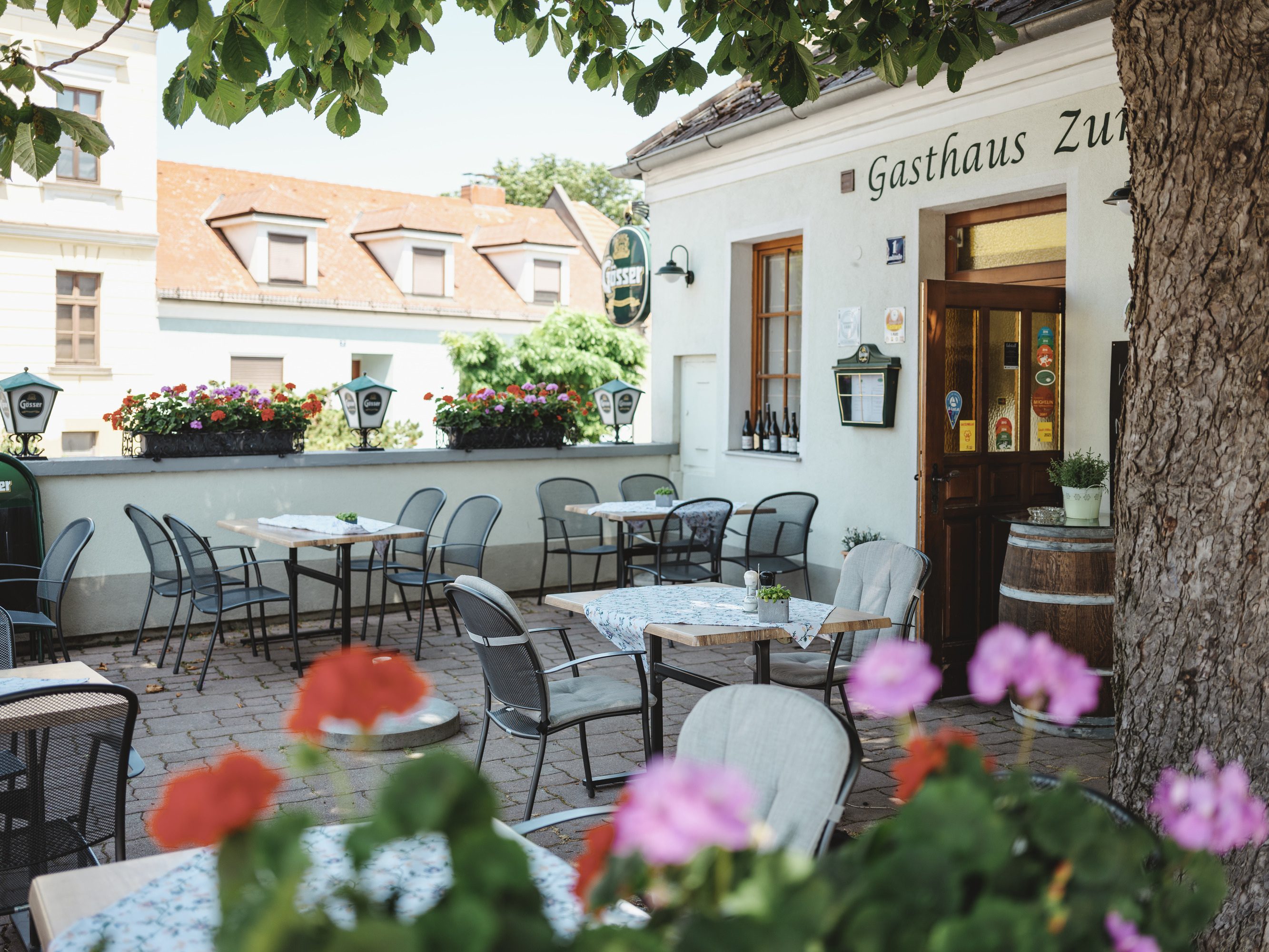 Schattiger Gastgarten in Zistersdorf