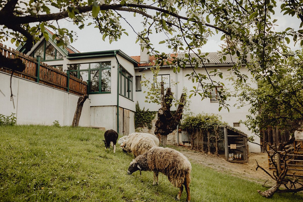 Wirtshaus mit eigener Landwirtschaft