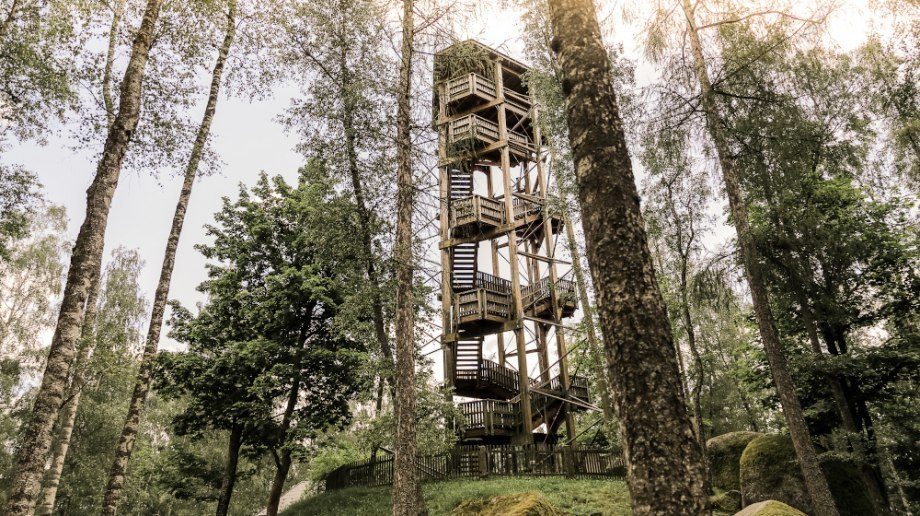 Naturpark Blockheide mit Kindern, © titantina