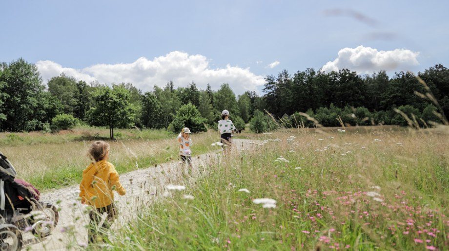Naturpark Blockheide mit Kindern, © titantina
