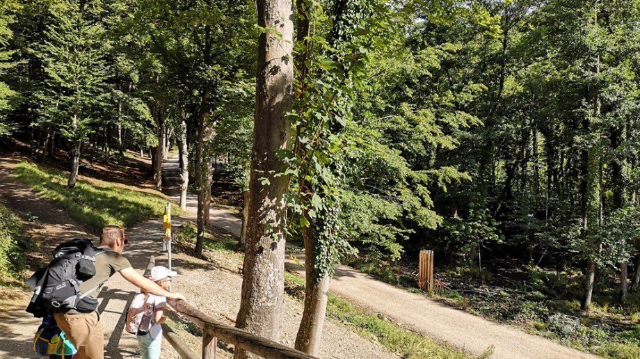 Der weitläufige Naturpark, © Niederösterreich-CARD