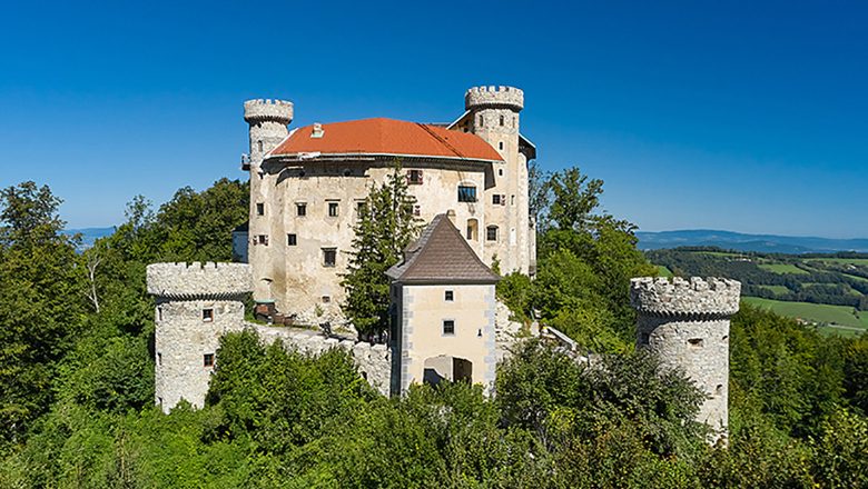 Burg Plankenstein