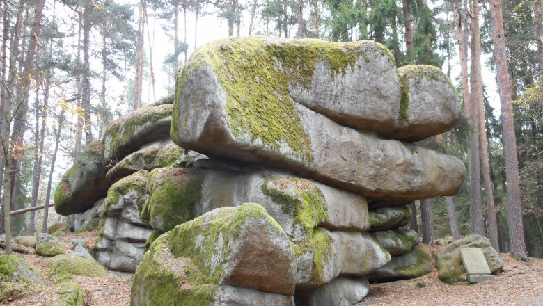 Naturpark Blockheide
