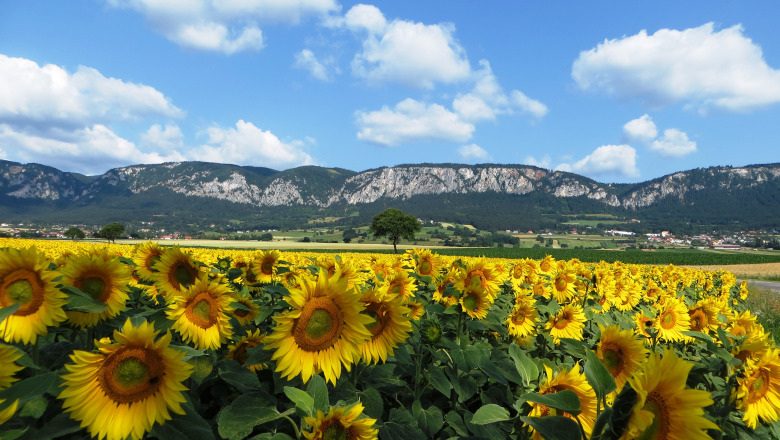 Hohe Wand Naturpark
