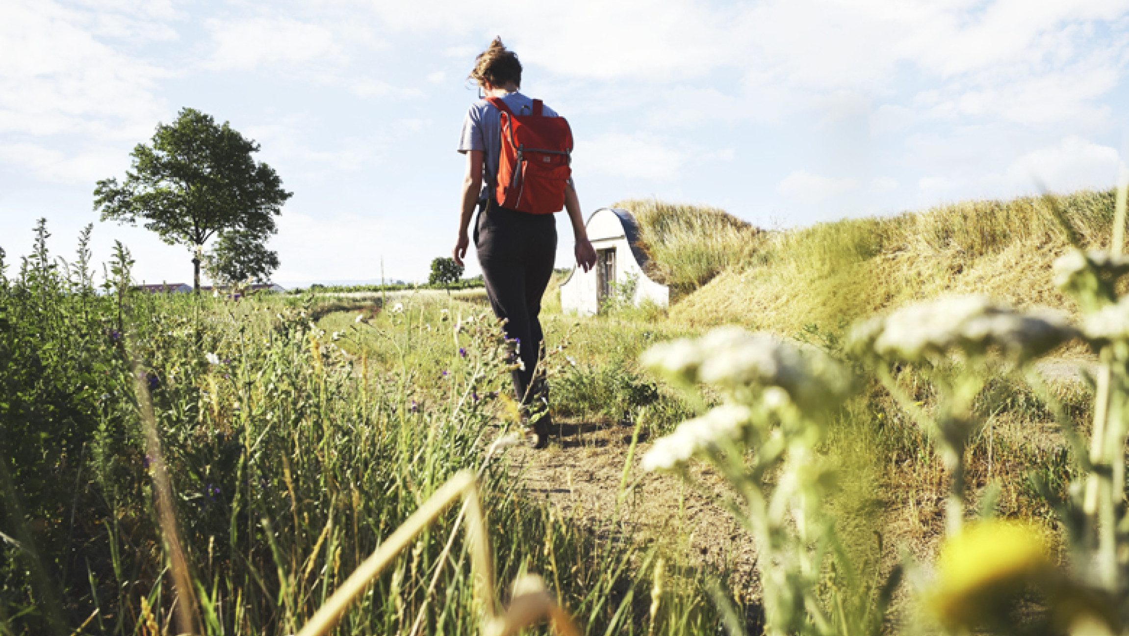 Spaziergang in Retzer Wiese