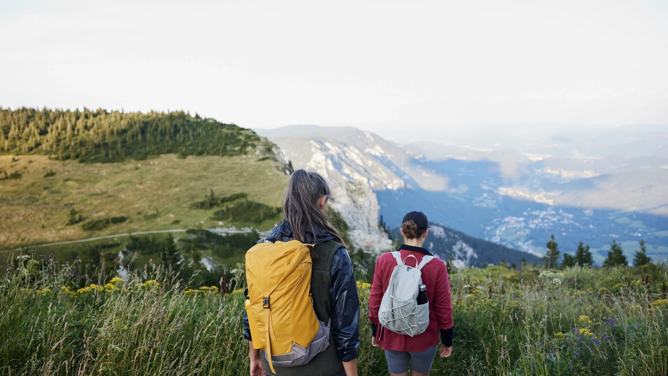 zwei Personen mit dem Rücken zur Kamera, die auf der Rax wandern mit Bergpanorama im Hintergrund und grünen Wiesen