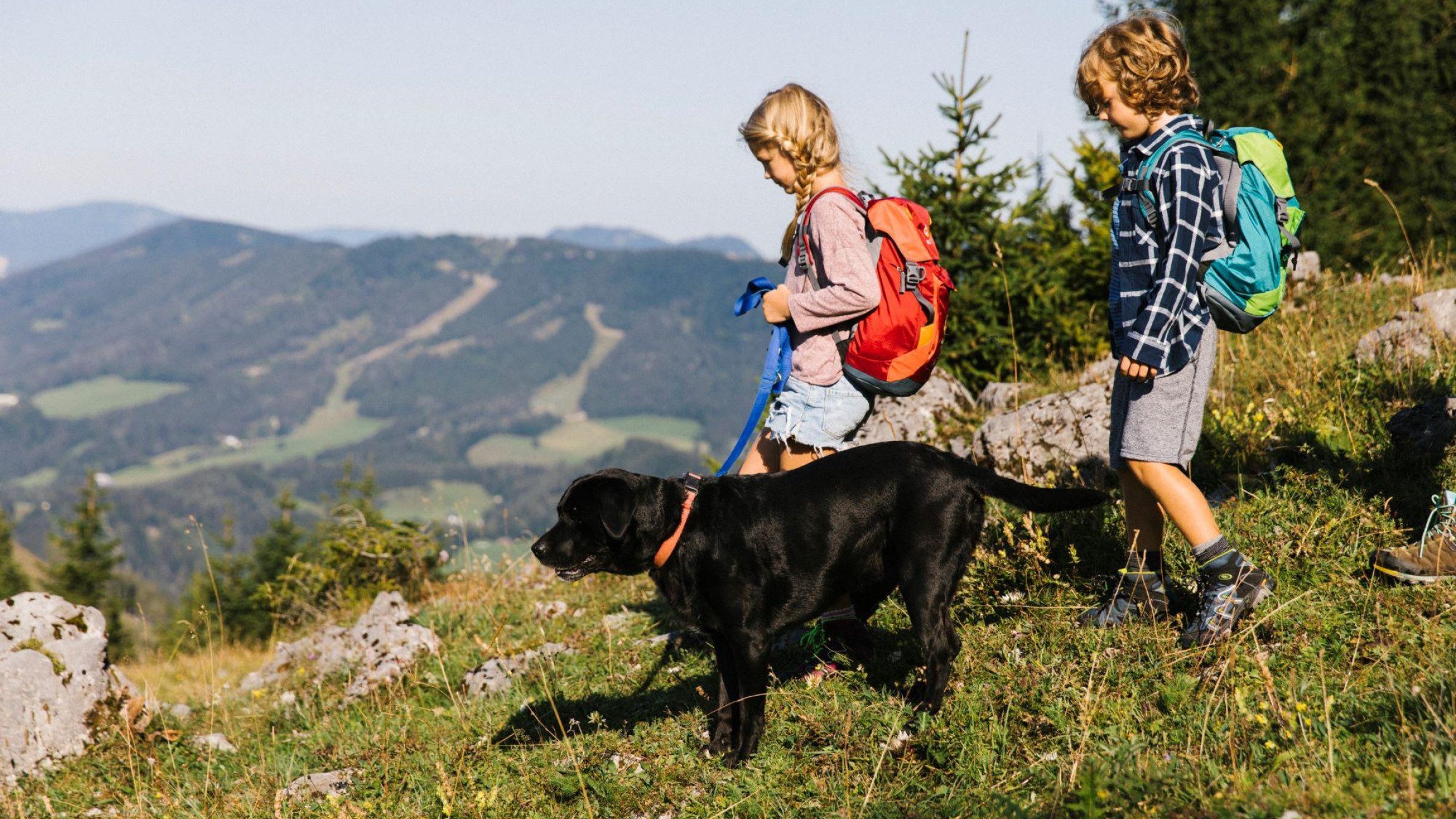 Mit Hund wandern
