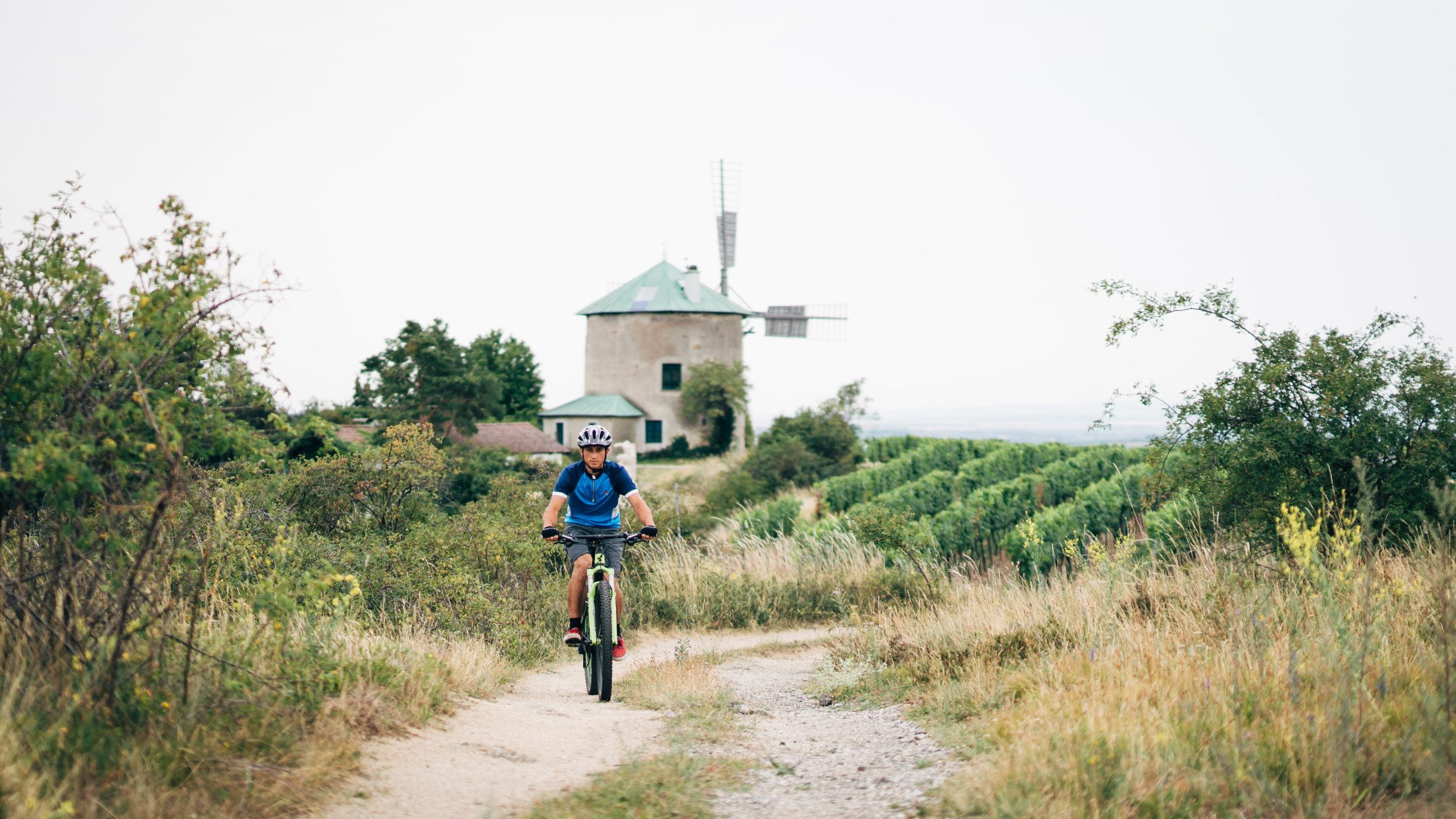 Ein Radfahrer vor der Retzer Windmühle am Iron Curtain Trail