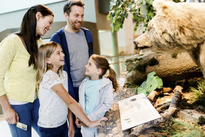 Familie im Museum Niederösterreich
