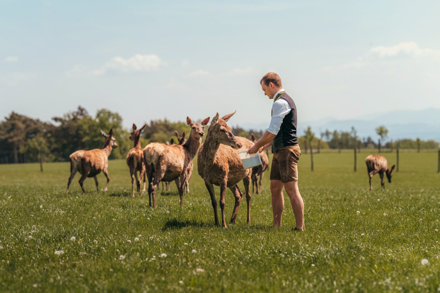 Patrick Langthaler bei de Rotwildfütterung