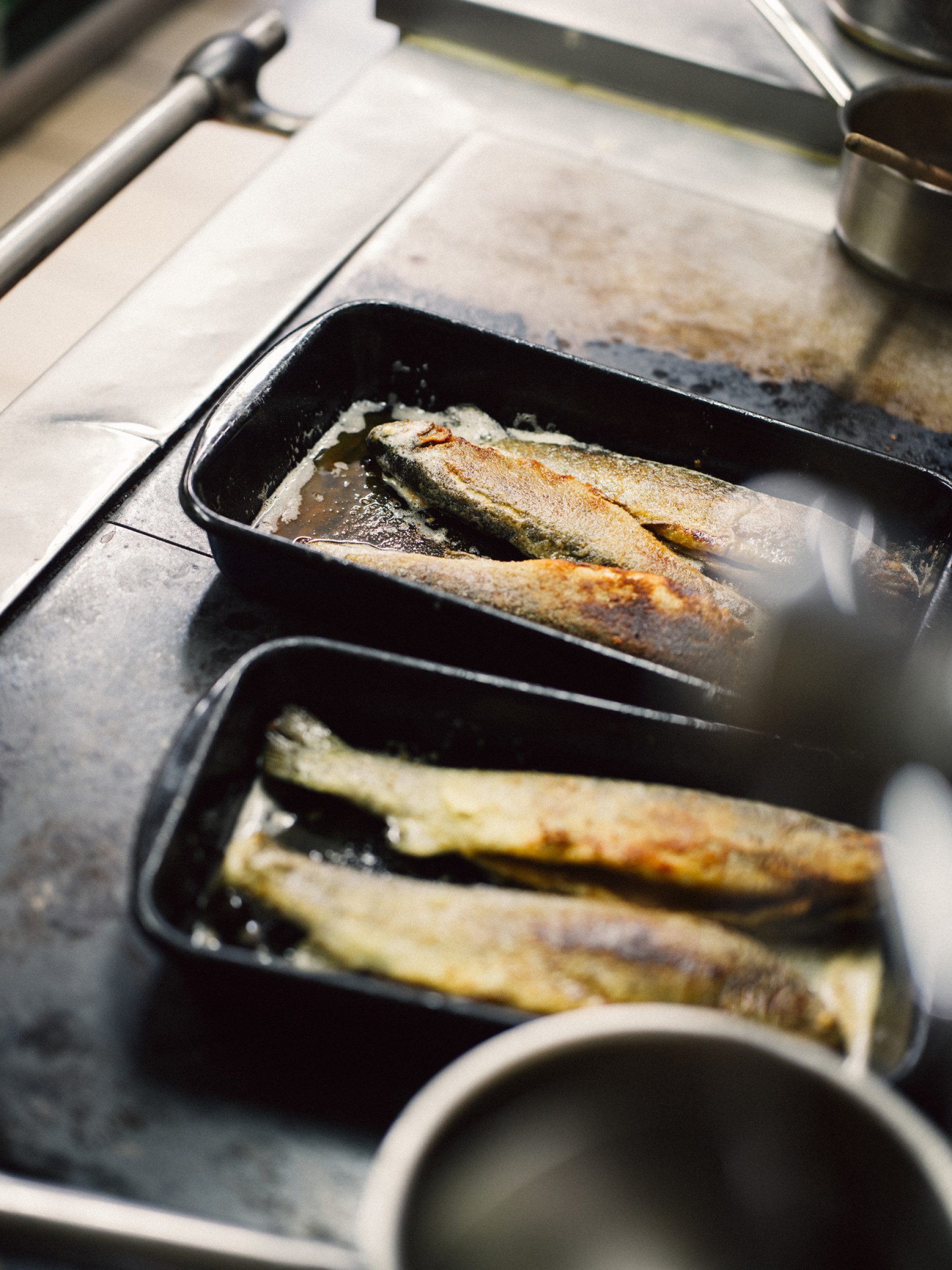 Frische Forelle aus eigener Zucht