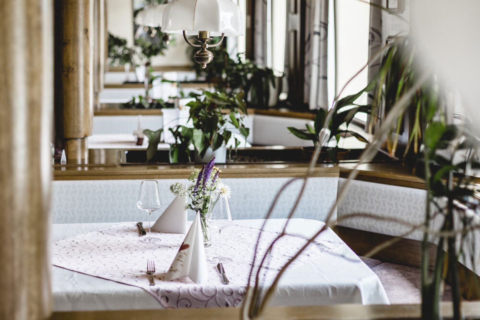 Grüner Daumen in Stube und Kräutergarten