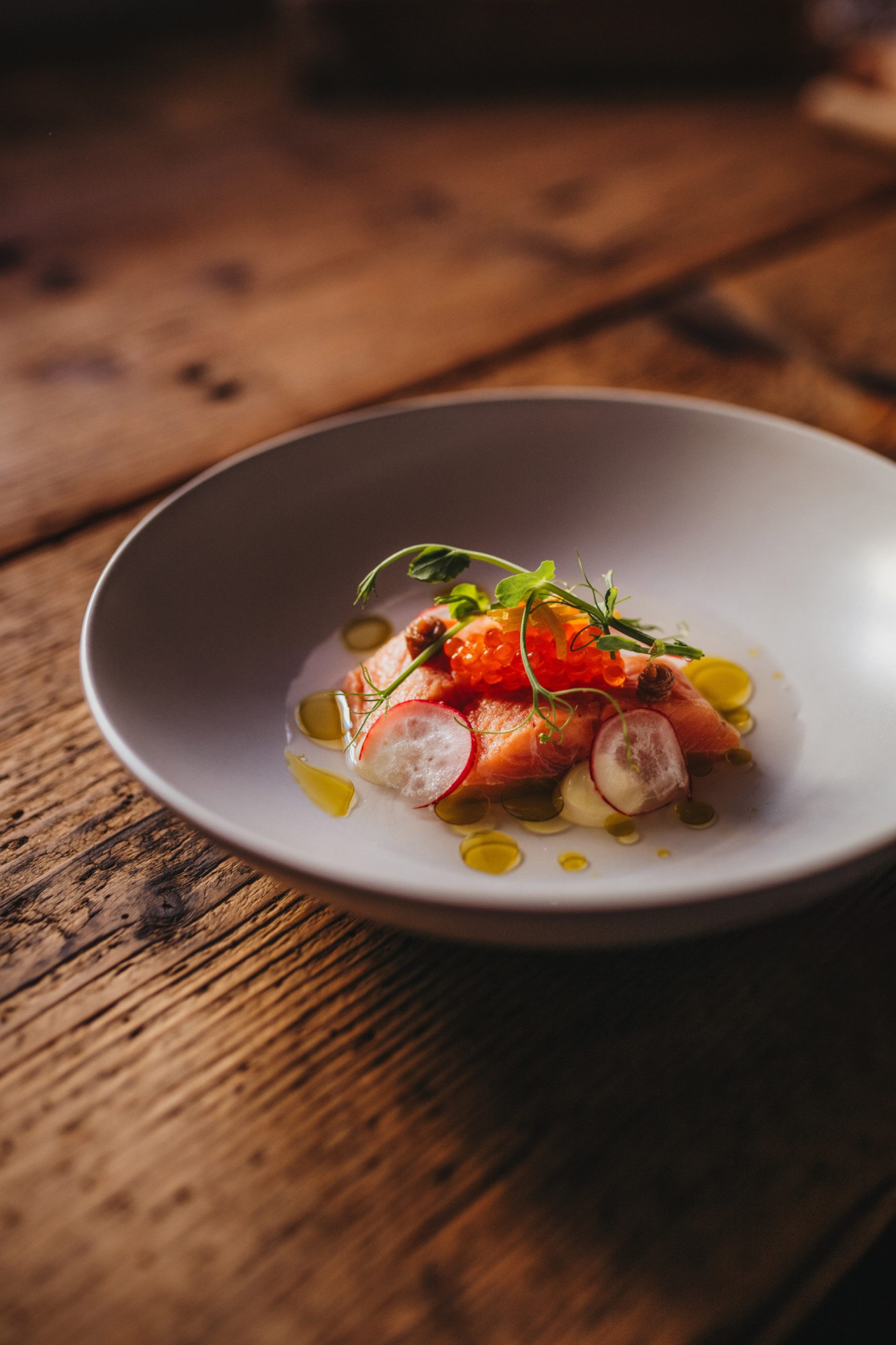 Gebeizte Lachsforelle mit Miso und Petersilie