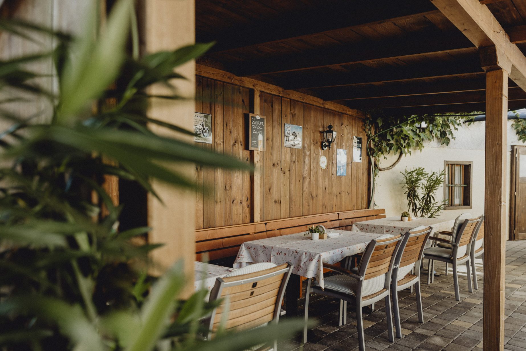 Im Gastgarten wird nach Störchen Ausschau gehalten