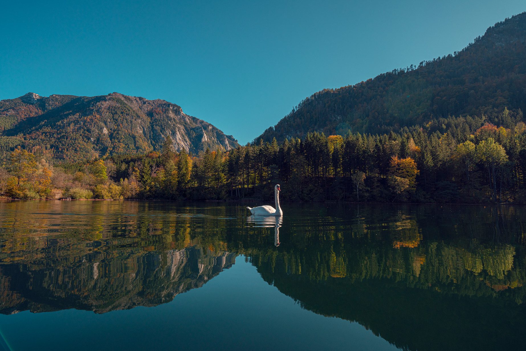 Mit Blick auf den einzigen Natursee Niederösterreichs