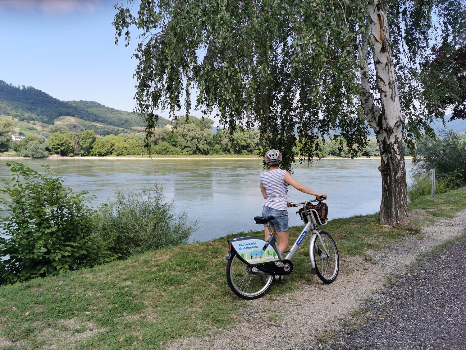 Mit Rad und Zug in der Wachau