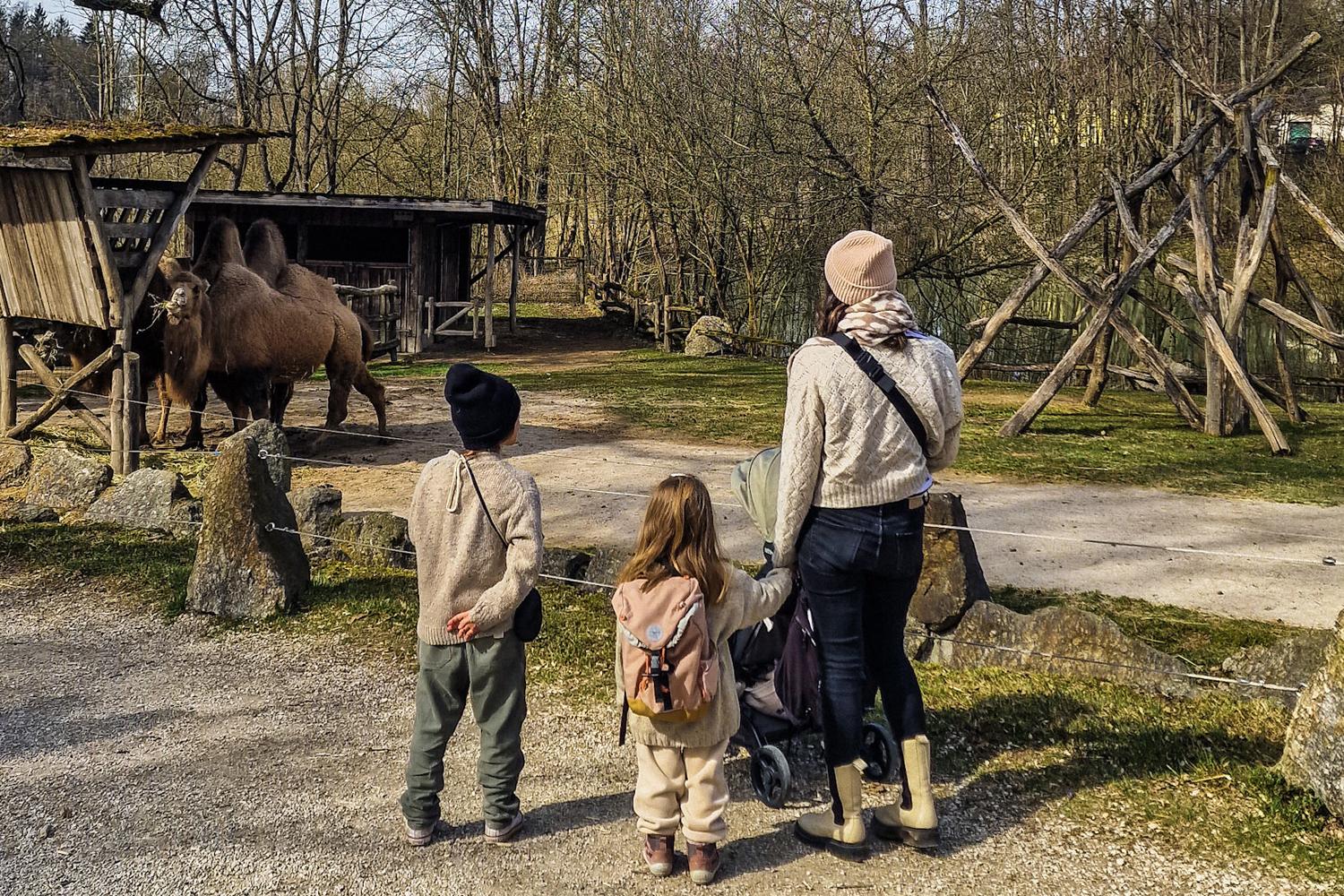 Tierischer Familienausflug in den Tierpark Stadt Haag