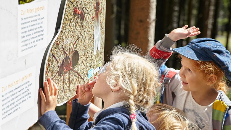 Kinder beim Lesen einer Beschreibung über Ameisen