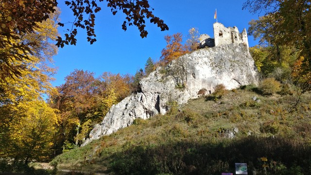 Naturpark Sparbach Freier Eintritt mit der NÖCARD